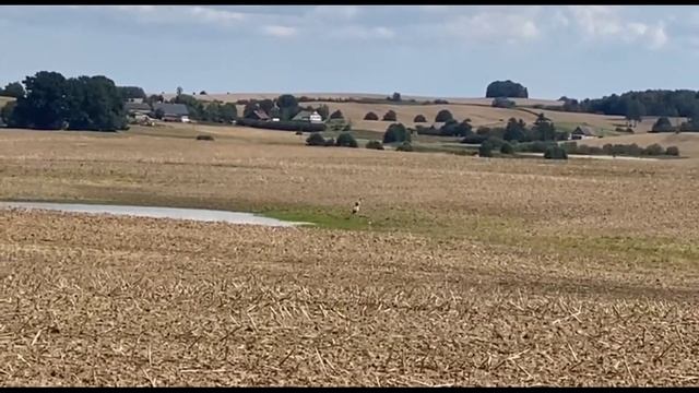 По ПОЛЬСКОЙ ДЕРЕВНЕ и ОКРЕСТНОСТЯМ на велосипеде polska