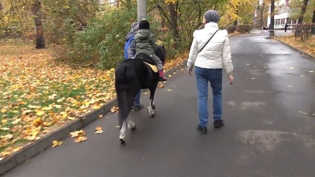 Кейт катается впервые на лошадке.Лошадка чихнула.Что-то пошло не так. Новое видео от lADY kAte. смотреть онлайн
