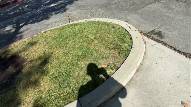 Сдал на права мотоцикла в Лос-Анджелесе. смотреть онлайн