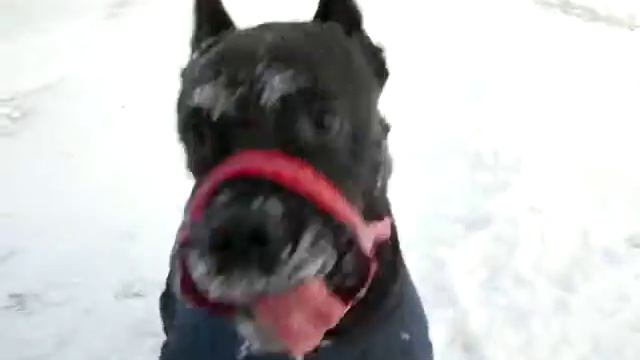 Изображение 077 смотреть онлайн