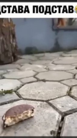 Подстава из подстав