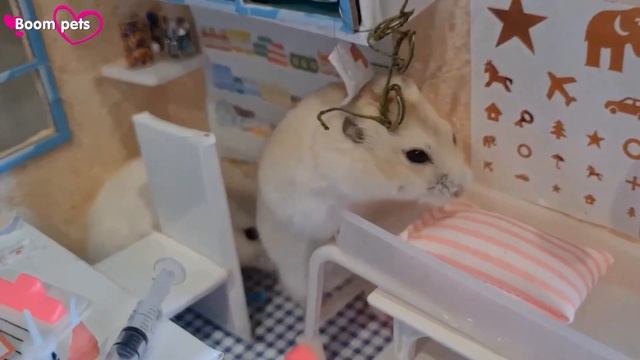 КАТЯ и МАКС заболели 😩Сериал про хомячков🐹