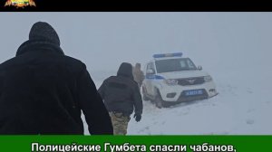 Полицейские Гумбета спасли чабанов, заблудившихся при перегоне овец