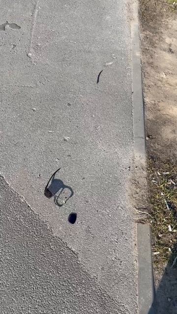 Драка в очках..