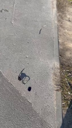 Драка в очках..