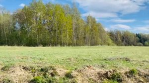 Участок 11,3 сотки под ПМЖ