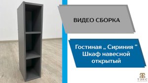 ТЭКС
Видео сборка. Гостиная Сириния. Шкаф навесной открытый.