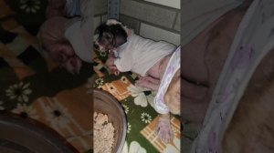 Малышня постепенно выздоравливают