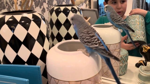 Серёжа смотрит на зеркало и понимает что отражение ег? смотреть онлайн