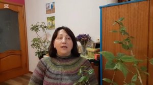 Платье спицами/круглая кокетка #вязание #knitting