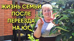 904 Обзор покупки/Как отмыть высолы на кирпиче/Переезд на юг
