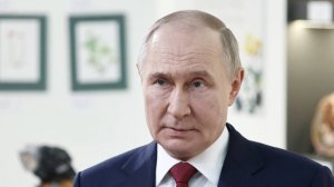 Западные СМИ обсуждают прошедшие телефонные переговоры Путина и Трампа