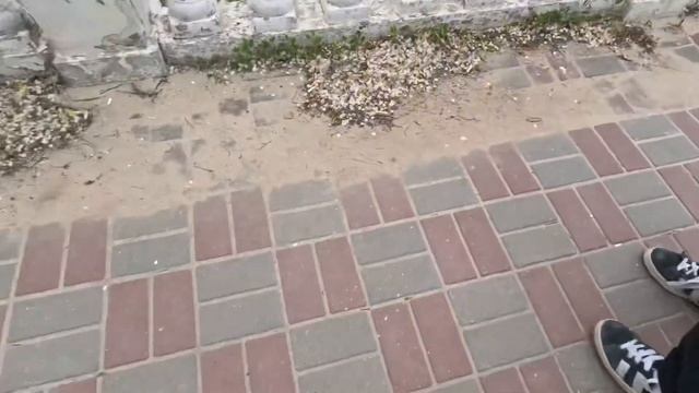 Влог скейт-парк Воронеж смотреть онлайн