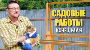 Борьба с вредителями; у Люси депрессия; жирные личинки - вредители или нет; урожайные огурцы