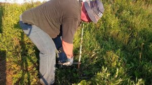 Как вытащить арматуру из земли