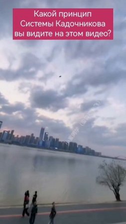 Система боевого выживания Кадочникова. Вопрос на экране.