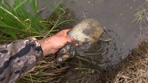 Нежданный трофей в конце рыбалки.