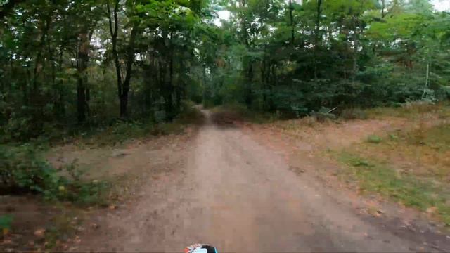 ПОКАТУШКА ПО МОКРОМУ ЛЕСУ, НАВАЛ ПОСЛЕ ДОЛГОЙ РАЗЛУКИ смотреть онлайн