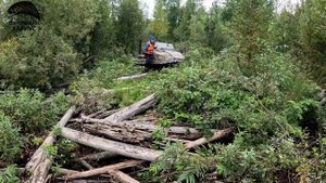 Голосовые отзывы об аэролодке "Хариус 440"