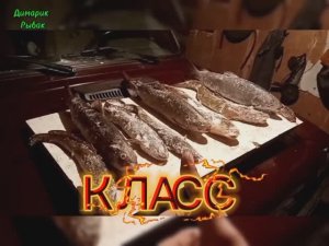 Зимняя рыбалка Января.