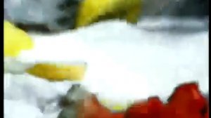 матная реклама экзо без цензуры