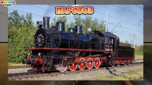 Учим транспорт для детей. Развивающее видео. Виды тран