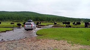 Монголия, озеро Хубсугул