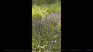 Это ИЗМЕНИТ твое восприятие природы! - This Is All -- Serat -- Unnamed album