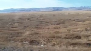 В Кокоря по дороге. Чуйская степь.