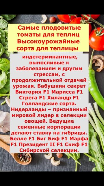 семена Помидор для теплиц,самые плодовитые смотреть онлайн