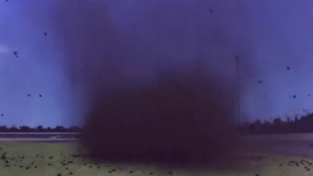 ТАПОЧКИ 1 смотреть онлайн