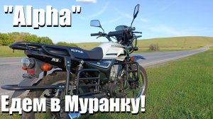 Мопед Alpha LM-48B: Мотопутешествие в село Муранка