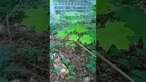 (2).КОНТАКТ С ДРУЗЬЯМИ.НЕКРОЭНЕРГИЯ.