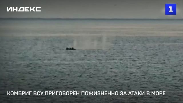 Комбриг ВСУ приговорён пожизненно за атаки в море