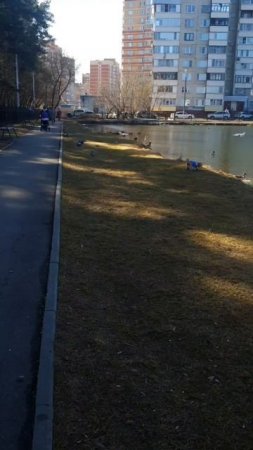 Прогулка