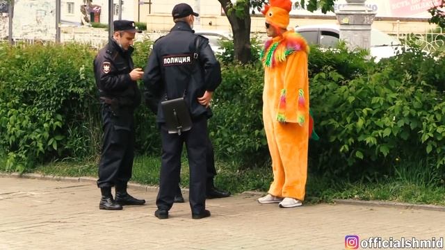 Пранк/шмид/новости/треш