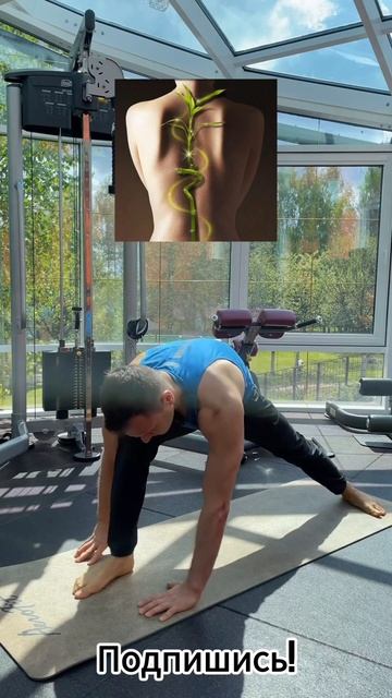 Стройные ноги и здоровый позвоночник ❤🔥Всего 1 упр? смотреть онлайн