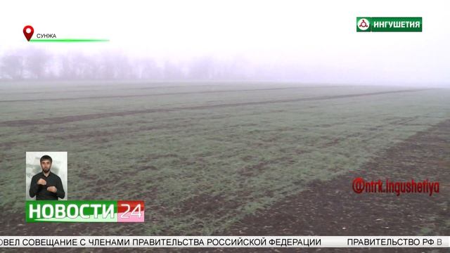 В Ингушетии испытывают новые сорта пшеницы смотреть онлайн