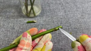 УКОРЕНЕНИЯ ЧЕРЕНКОВ РОЗ В КОКОСОВОМ СУБСТРАТЕ