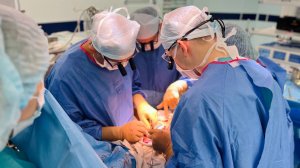 В Сургутском кардиоцентре прошли мастер-классы по имплантации гомографтов