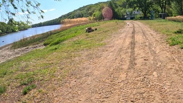 Первый боевой выезд на КАСТОМ велосипеде с Собакой ! / ? смотреть онлайн