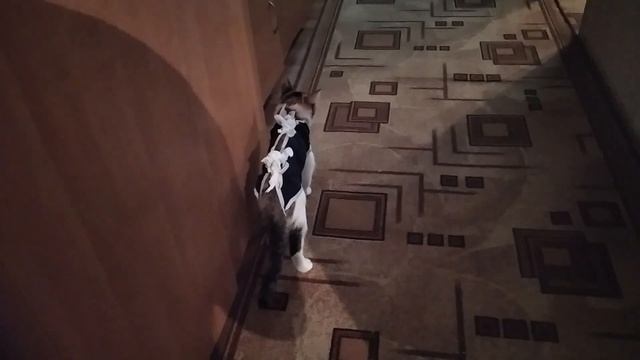 СТЕРИЛИЗАЦИЯ   и   ЧЕРНЫЙ  ДОКТОР смотреть онлайн