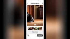 Как создать удивительное  видео с Шедеврум, GPT-4 и InShot/ П