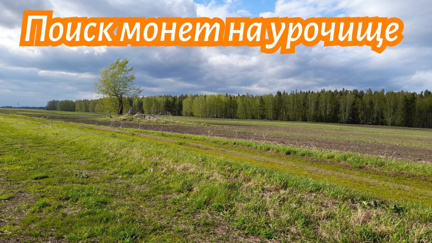 Поиск монет на выбитом урочище