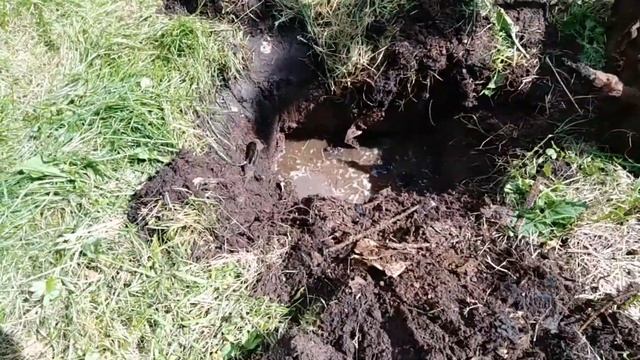 КОПАЕМ МЕТАЛЛОЛОМ В ОГОРОДЕ У ТЁТИ ТАНИ смотреть онлайн