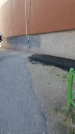Шортс