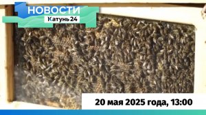 Новости Алтайского края 20 мая 2025 года, выпуск в 13:00