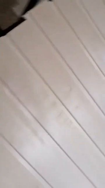 Вагонка ЛИПА 15x95 (1 сорт) від виробника KLAWOOD™ смотреть онлайн