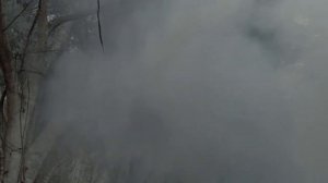 Шутки из фильма ХИЩНИК / Смешные моменты, фразы и приколы из фильма Хищник и Хищник 2018