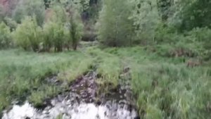 Вездеход с двигателем лифан в брод.